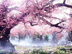 《凉凉》三生三世十里桃花片尾曲